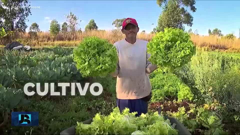 Governo amplia os investimentos em políticas e programas sociais para levar alimentos a todos