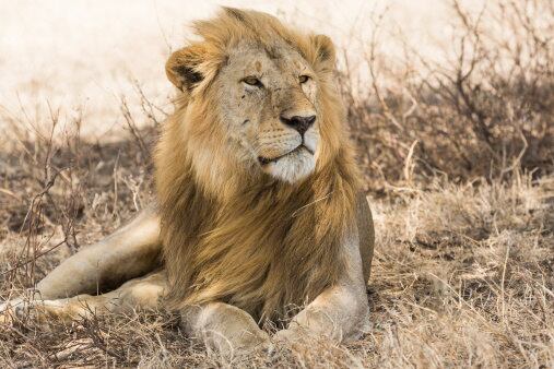 Declaração deve ser feita pela Pessoa Física que recebeu rendimentos superiores a R$ 26.816 em 2014