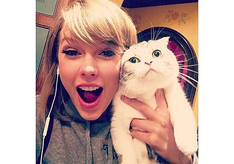 Gata de Taylor Swift acumulou fortuna