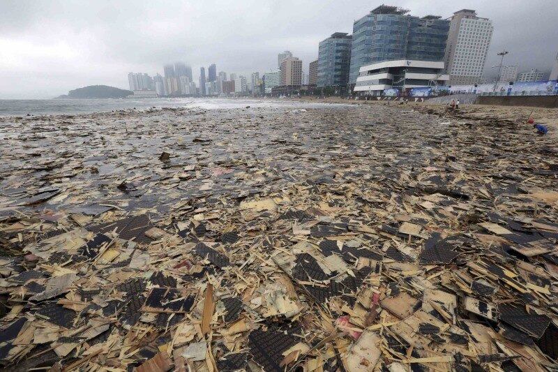 Pedaços de madeira e destroços cobrem a praia de Haeundae em Busan, na Coreia do Sul, após a
passagem do tufão Nakri pela região. Acredita-se que o entulho seja parte de um
navio que naufragou em Busan há cerca de 1 ano
