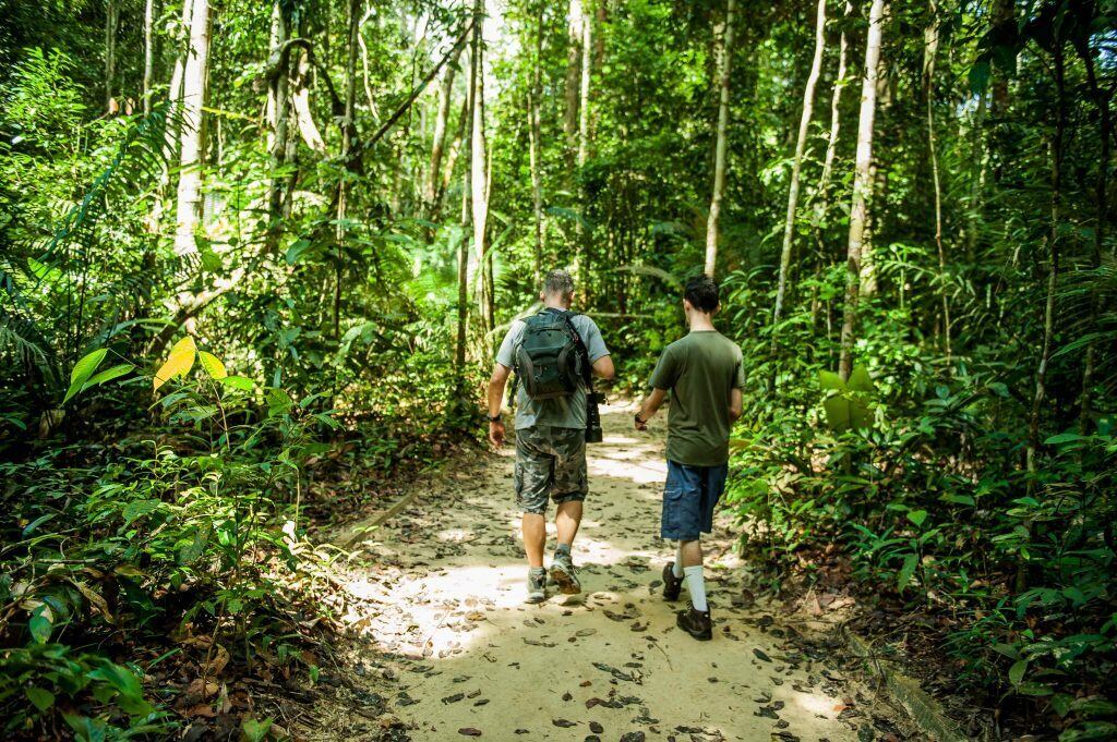 Ecoturismo na Amazônia