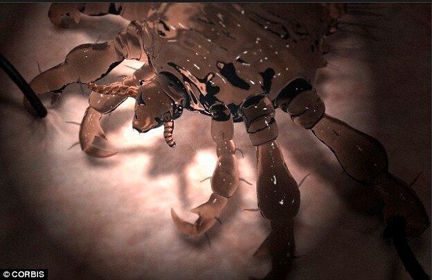 Segundo o cientista, ele não precisou sair com um monte de gente e fazer exames, mas apenas aplicar dados estatísticos para chegar ao resultado aproximado