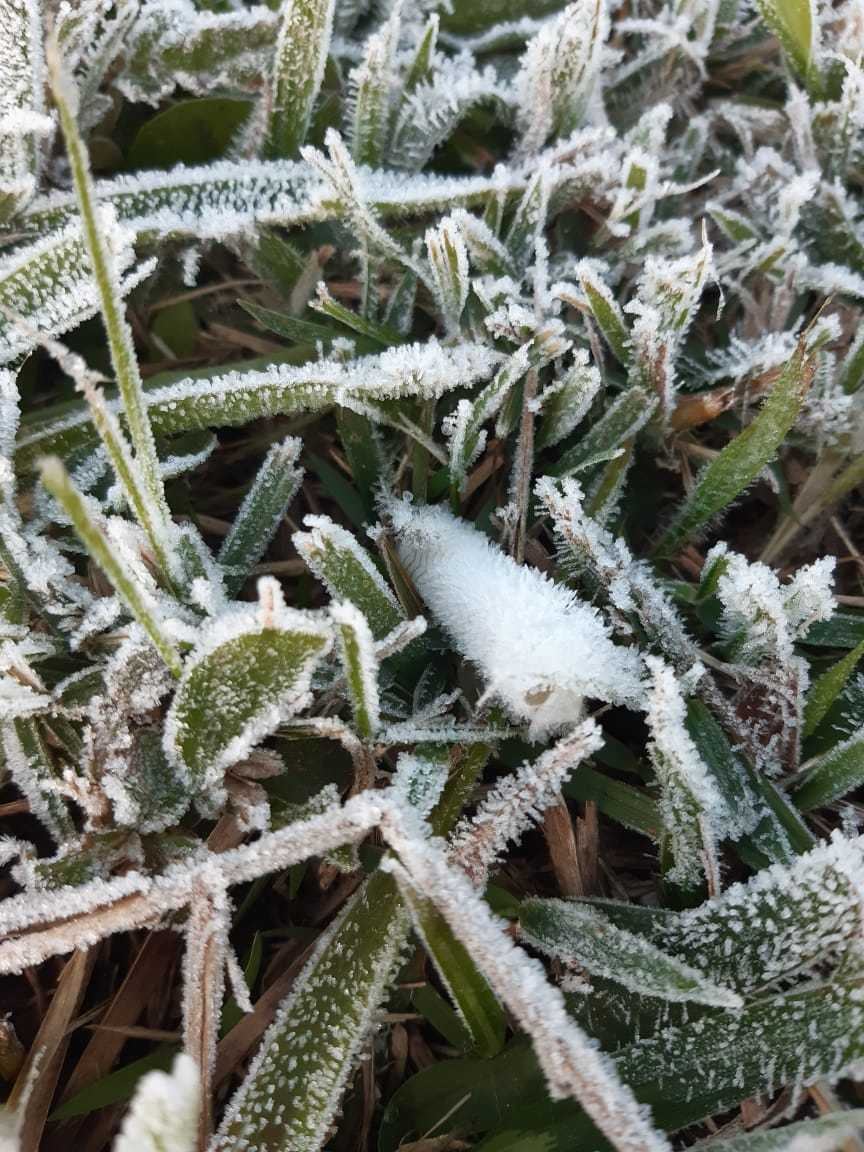 Até então, o recorde de frio havia ocorrido no dia 30 de junho, com média de 5,7°C e menor absoluta de 0,1°C também em Marsilac
