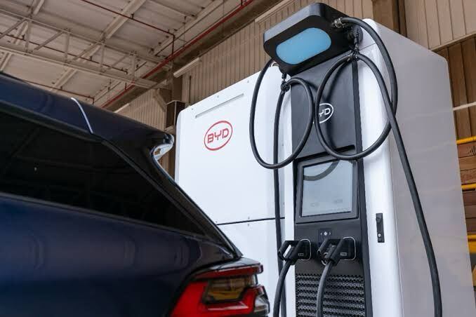 BYD/divulgação