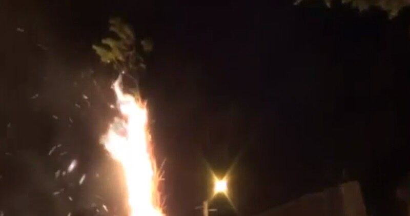 Associações defensoras dos animais de Portugal denunciaram nesta
sexta-feira (26) o reaparecimento da "tradição" de queimar gatos
vivos durante as festas de São João em bairro do município de Vila Flor, no
norte do país. As informações são da Agência Efe
Imagens fortes:
chinesa gasta fortuna para salvar cachorros de virarem refeição em festival de
carnes
