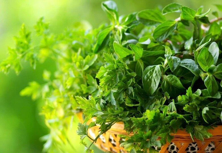 GEL DE POEJO:

50g de poejo
Suco de limão e açúcar a gosto
100ml de água 
0,5g de xantana 

COMO FAZER:
Bata  poejo, açúcar, limão e água. Junte a xantana e misture tudo. Reserve. 
