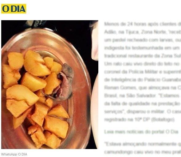 Imagem de rato que caiu em prato foi divulgada no jornal O Dia