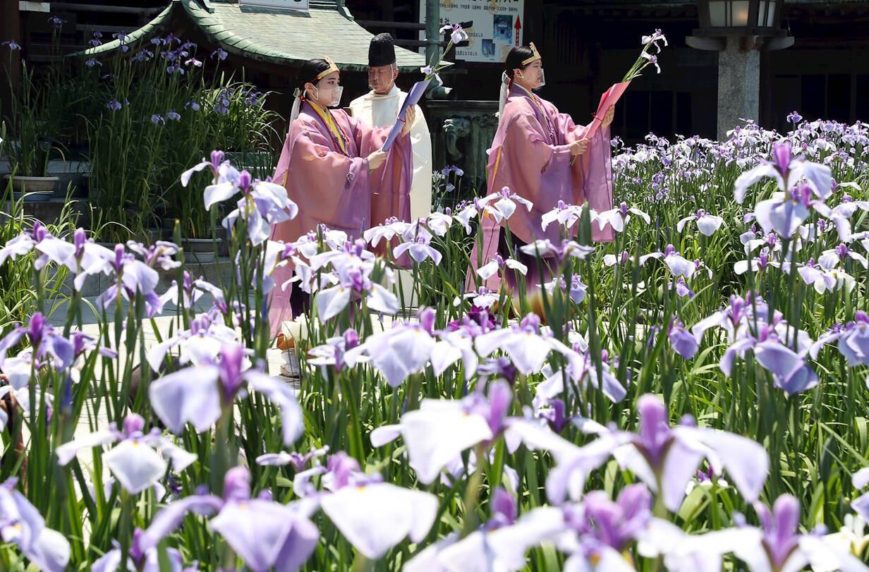 Fukutsu (Japan), 31/05/2021.- Shrine maidens perform a ritual dance with Japanese iris flowers at Miyajidake Shrine in Fukutsu City, Fukuoka Prefecture, southwestern Japan, 31 May 2021. The ritual was also broadcasted on Social Networking Service by the shrine for those who couldn't attend due the coronavirus traveling restrictions. (Japón) EFE/EPA/JIJI PRESS JAPAN OUT EDITORIAL USE ONLY/ NO ARCHIVES