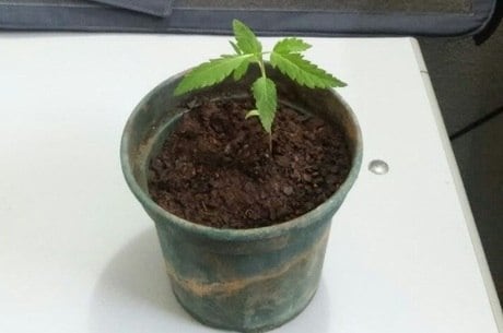 O adolescente foi encaminhado ao MP