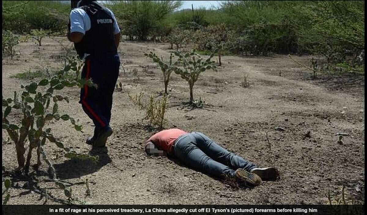 Ele também informou as localizações dos cemitérios clandestinos usados para desovar os corpos das vítimas de sua namorada