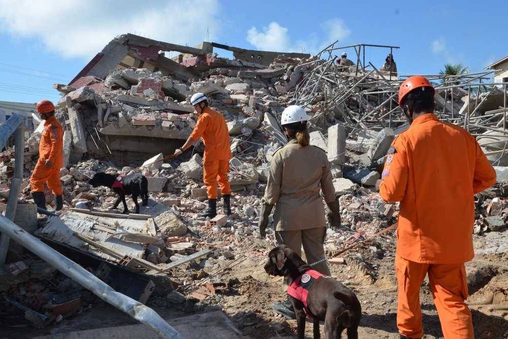 Bombeiros usaram cães farejadores durante as buscas