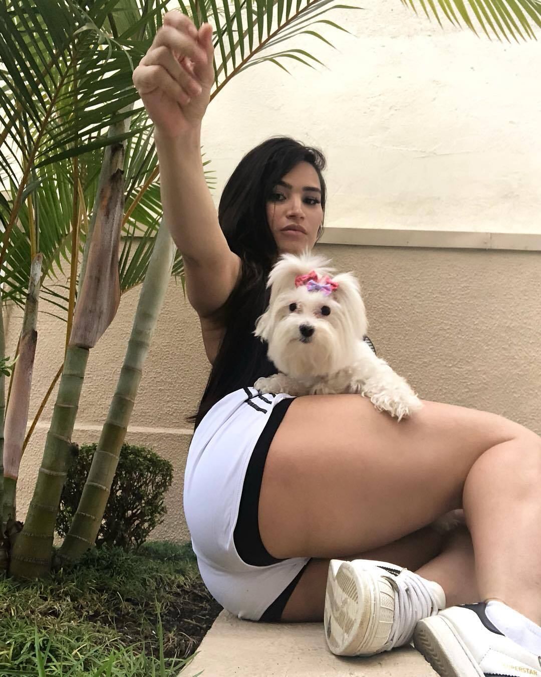 Por ser tão fofa, Meg também tem sua própria conta no Instagram, o perfil @maltes.meg, que reúne mais de 4.500 seguidores 







