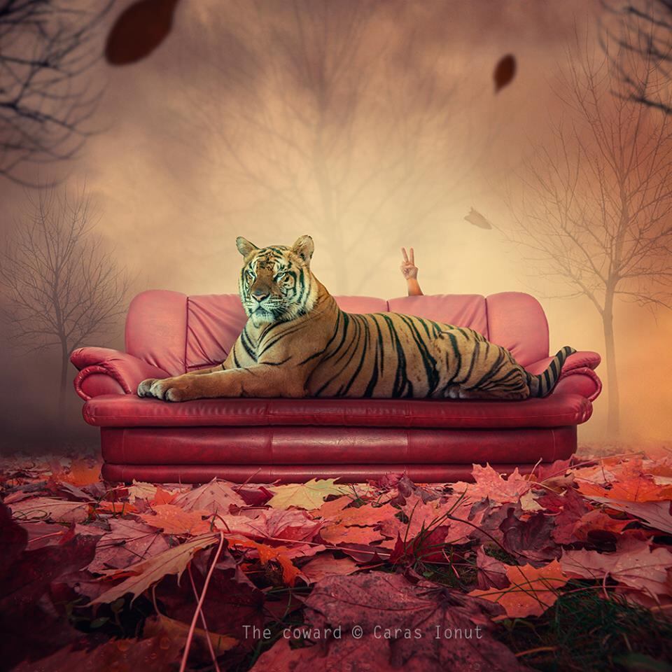 Caras Ionut. photoshop, sobrepor imagem, fotografia, artistas