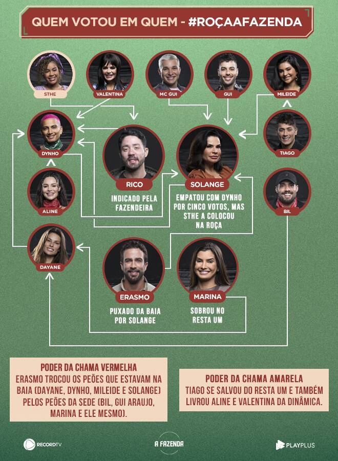 Veja quem votou em quem na sétima formação de Roça de A Fazenda 13