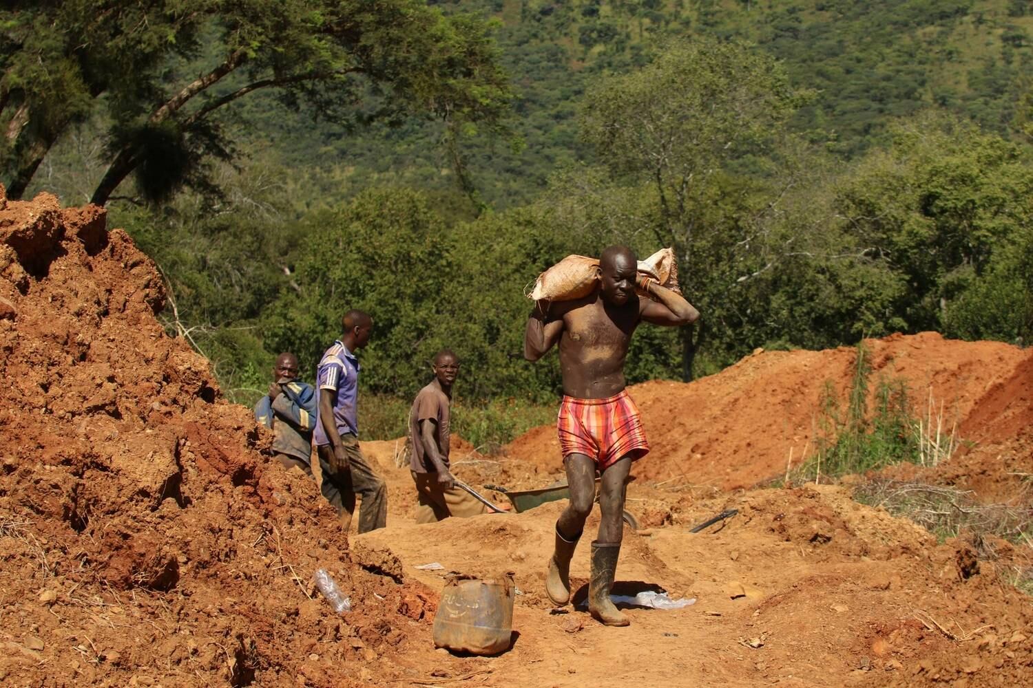 Grace Mugabe chegou a acionar a justiça, alegando invasão, mas o Supremo Tribunal do Zimbábue deu o direito de os mineiros explorarem a propiedade. Em entrevistas a veículos locais, os mineiros já afirmaram que os Mugabe não têm autoridade para exigir a saída deles