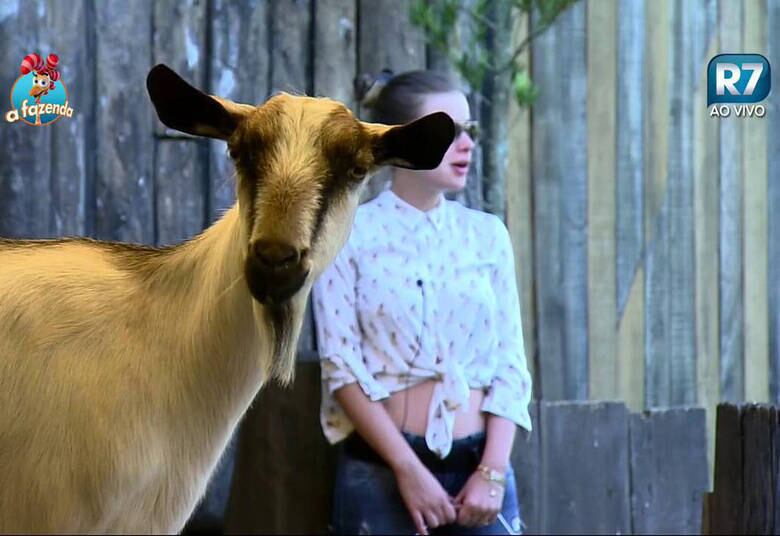 Melhor animal de A Fazenda
“As cabras, Rayanne e eu nos
apegamos muito a eles. Tem a Amadinha também”
+ Douglas Sampaio agradece Mara Maravilha pelos tapas na cara: "Foram tapas de R$ 2 milhões"
+ Acesse R7 Play e assista às íntegras do Hoje em Dia! Clique e experimente de graça!
