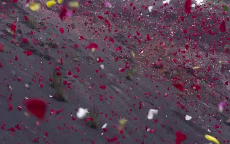 A equipe de produção da campanha recolheu as pétalas de flores mais vibrantes e coloridas que conseguiram encontrar na região