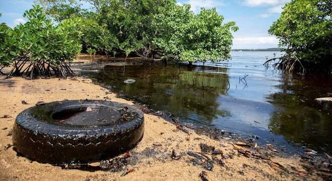 Ecossistema marinho levará pelo menos dez anos para ser totalmente recuperado