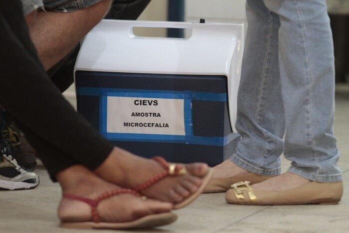 Quais Estados estão apontando crescimento de casos de microcefalia acima da média?
O Ministério da Saúde informou que está acompanhando os casos de microcefalia em Pernambuco, Estado que tem apresentado aumento de casos da doença, classificado pela OMS (Organização Mundial de Saúde) como situação inusitada em termos de saúde. Há também registro de casos nos Estados da Paraíba, Rio Grande do Norte, Piauí e Sergipe. Todas essas suspeitas estão sendo investigadas e todos esses locais contam com a atuação de profissionais de saúde do ministério