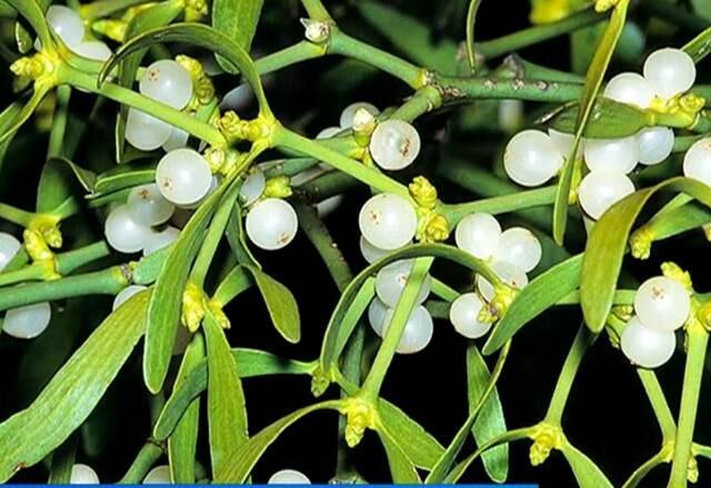 Veja essa e outras reportagens no Hoje em Dia, que vai ao ar de segunda a sexta, a partir das 10h00, na Record TV.