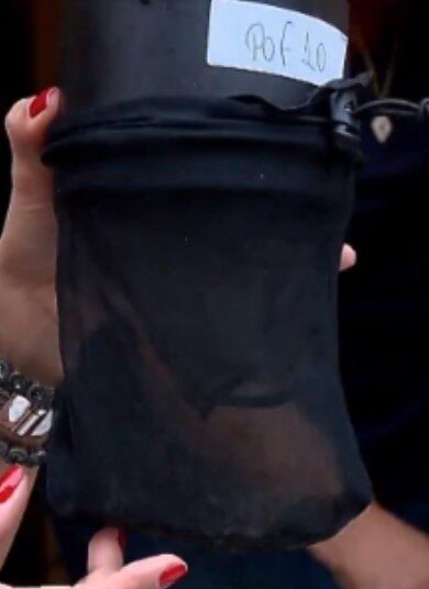 Na semana seguinte, os técnicos voltavam para retirar os saquinhos onde estavam os mosquitos para verificar se eles tinham contraído a Wolbachia. O resultado mostrou que houve uma grande proliferação da bactéria e que casos de chikungunya reduziram 70% nessas áreas