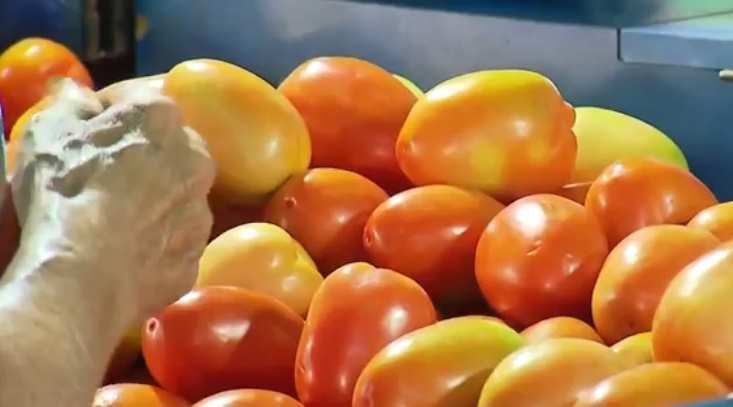 Os preços subiram 0,45% no mês de outubro e registraram a maior taxa para o mês desde 2015. De acordo com o IPCA (Índice Nacional de Preços ao Consumidor Amplo), os produtos de alimentação (0,59%) e transportes (0,92%) foram os maiores responsáveis pela alta