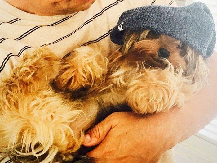 A família fica completa com o cachorrinho Spike, que faz a alegria de todos
+ Após 50 anos, vovó da cocada realiza o sonho de rever o irmão. Veja no Domingo Show!
+ Quanta diferença! Descubra como eram os famosos antes dos tratamentos dentários
+ Aproveite e confira as matérias do programa Domingo Show
+ Já curtiu a página do Domingo Show no Facebook? É só clicar!
+ Siga o Domingo Show no Twitter e receba conteúdos exclusivos!