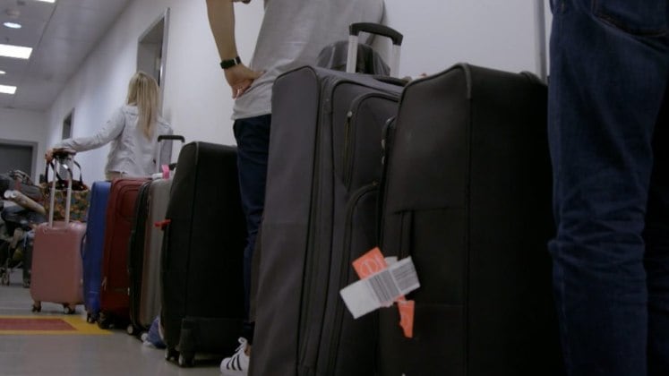 Os cães farejadores também vão entrar em
ação em busca de substâncias ilícitas para auxiliar a Receita Federal