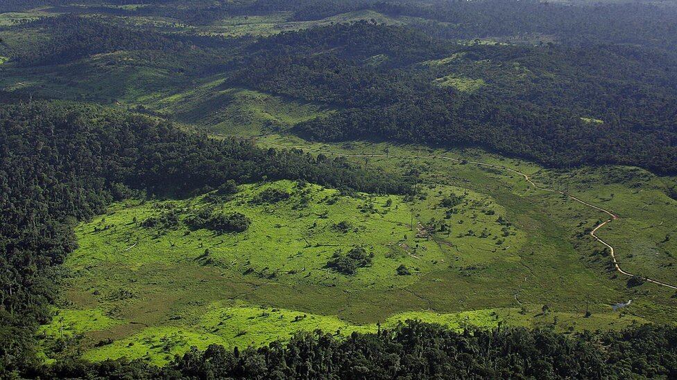 Desmatamento na Amazônia