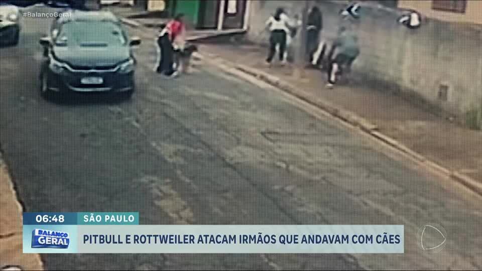 Vídeo: irmãos são atacados por Pitbull e Rottweiler na Grande São Paulo