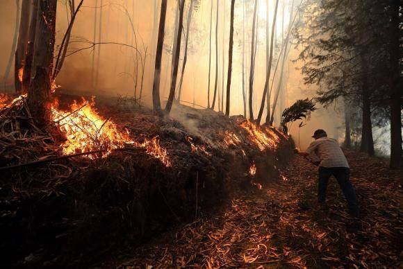 Incêndio na localidade de Préstimo (Águeda), em Portugal
