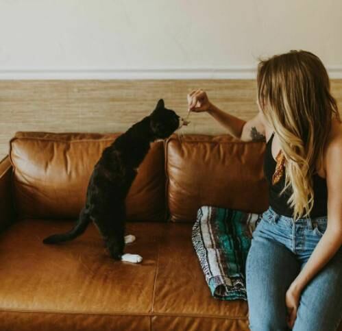 "O nome Rexie Roo surgiu por ele andar como um t-rex e pular como um canguru. Fiquei tão surpresa na primeira vez que ele pulou na minha cama! Quando quer algo, ele vai atrás!", contou sua atual tutora, Cairistiona Flatley
