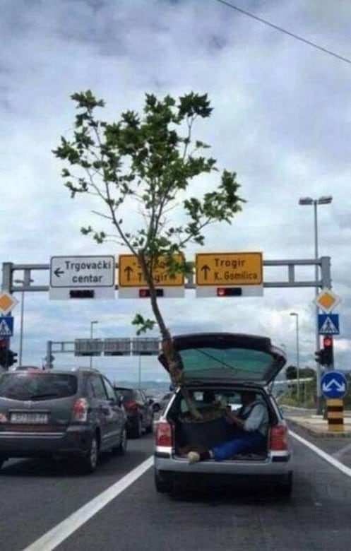 Improviso que pode dar errado. Atenção para a altura da árvore
