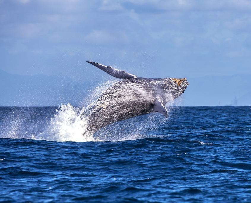 Foto: Leonardo Merçon
