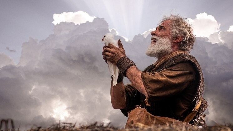 Noé, então, percebe que a água começa a baixar e resolve enviar uma pomba para descobrir se já há terra firme para desembarcar. A ave, no entanto, volta sem sinais de ter pousado em qualquer lugar, deixando a família decepcionada.