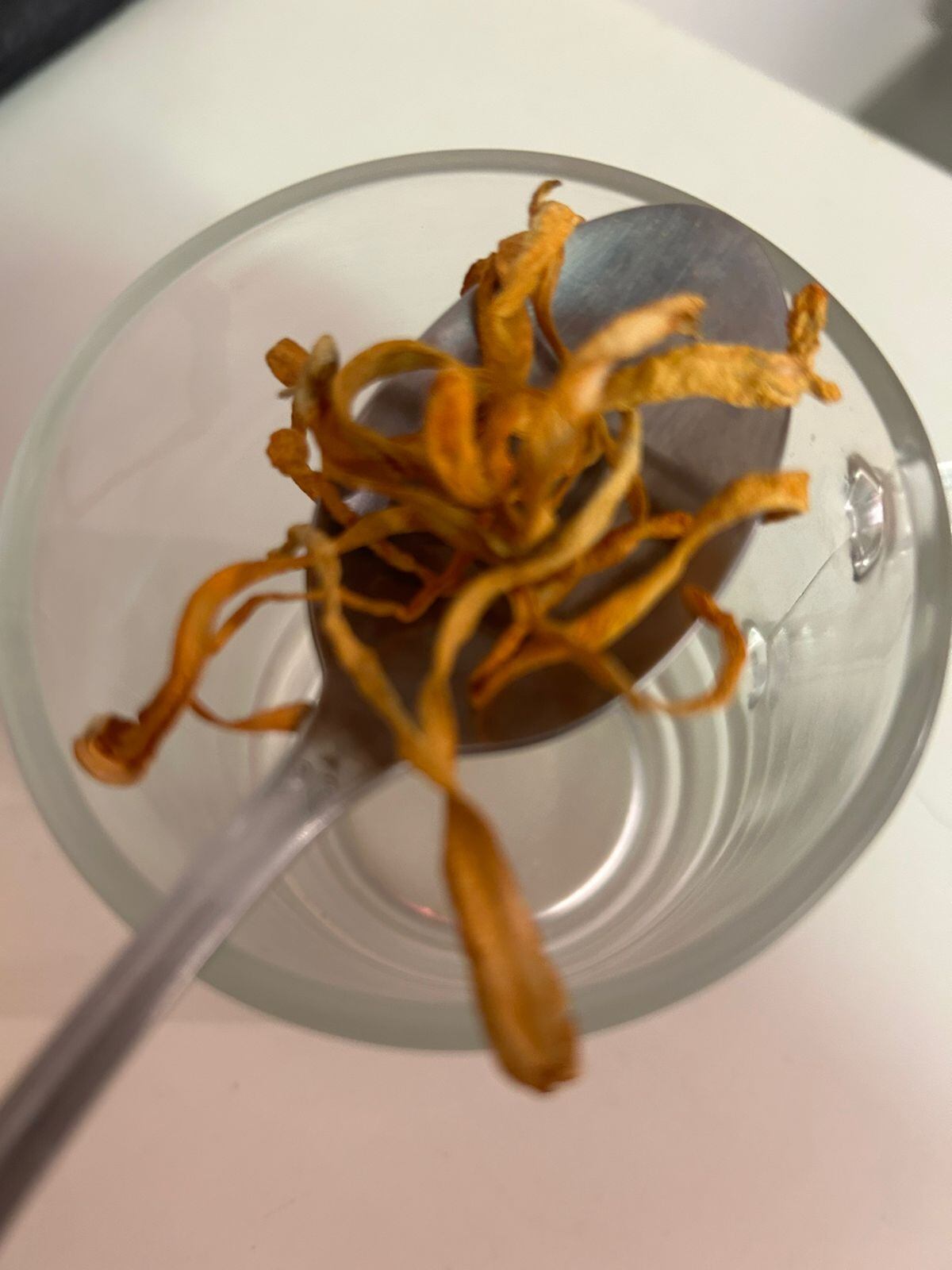 Uma colher de chá de Cordyceps em uma xícara de água quente rende um chá cheio de sabor