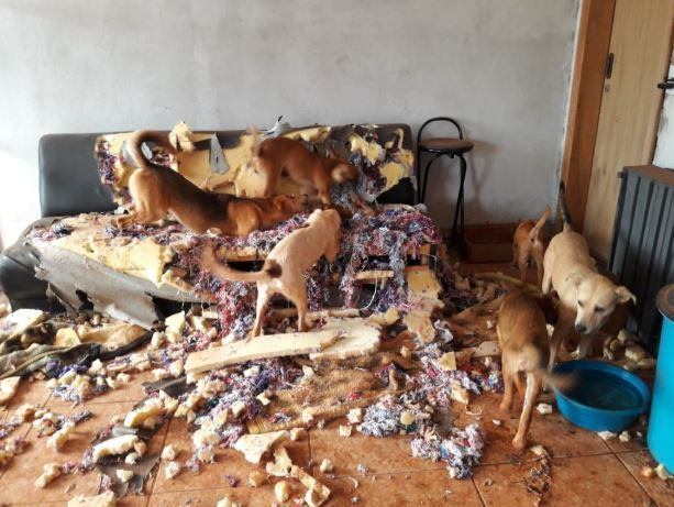 “Mas acho que eles não aceitaram muito bem a ordem do pedreiro”