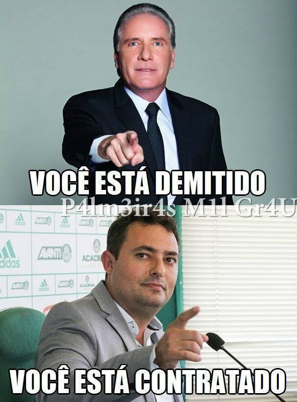 Mattos foi uma das principais aquisições do Verdão na temporada