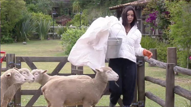 E por falar em se dar bem no trato dos animais, Kerline foi outra peoa que teve facilidade e curtia as tarefas! Já cuidou das ovelhas, do cavalo, da vaca, bezerro e touro, lhamas e aves! A designer de moda levava muito jeito com os bichos, além de distribuir carinho a eles constantemente. Um dos momentos marcantes de Kerline durante o trabalho rural aconteceu ao guiar o bezerro para trocar de úbere (mama do animal) e conseguiu cumprir a missão com
facilidade. Ela comemorou a maneira rápida com que efetuou a troca, já
que a maioria das pessoas têm dificuldade nesse momento