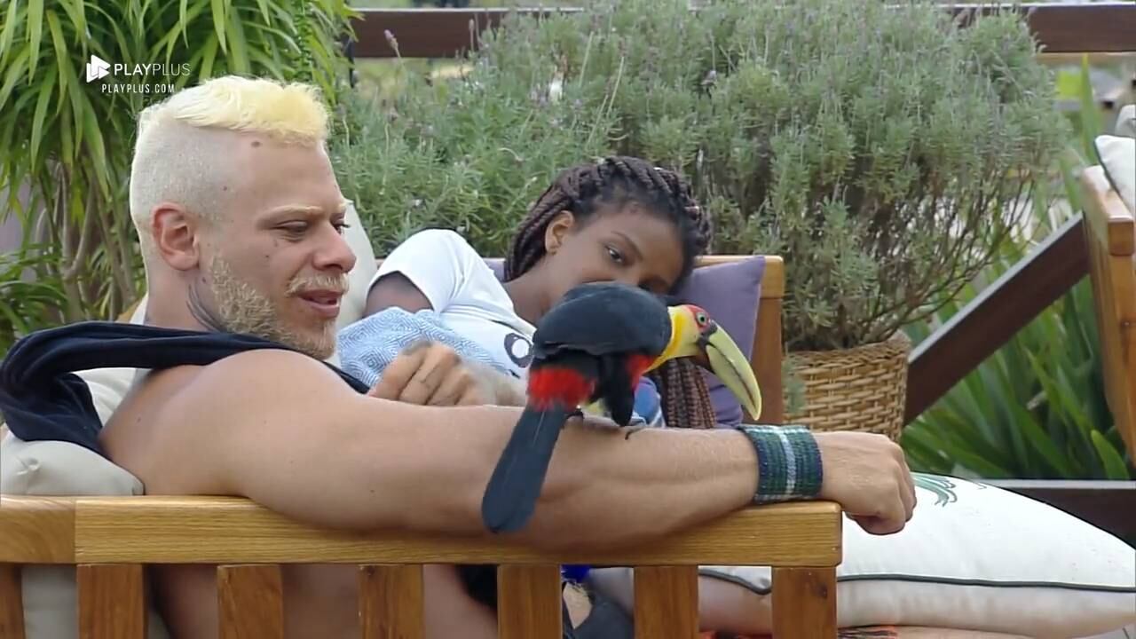 Tucano vira novo mascote