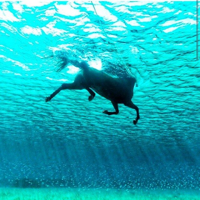 Seu Instagram está repleto de imagens poéticas e frases motivacionais