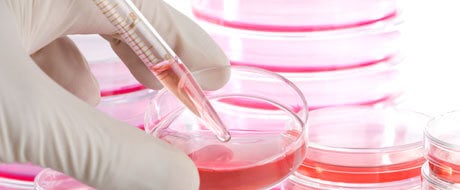 Laboratórios farmacêuticos compartilharão seus conhecimentos científicos
