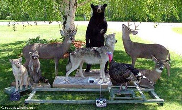 Além disso, esses robôs da natureza tem o interior feito em isopor e outros materiais resistentes para a tornarem resistentes aos montes de tiros que tais robôs levam