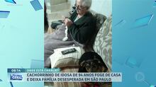 Idosa de 94 anos procura cachorro que fugiu de casa na zona leste de SP