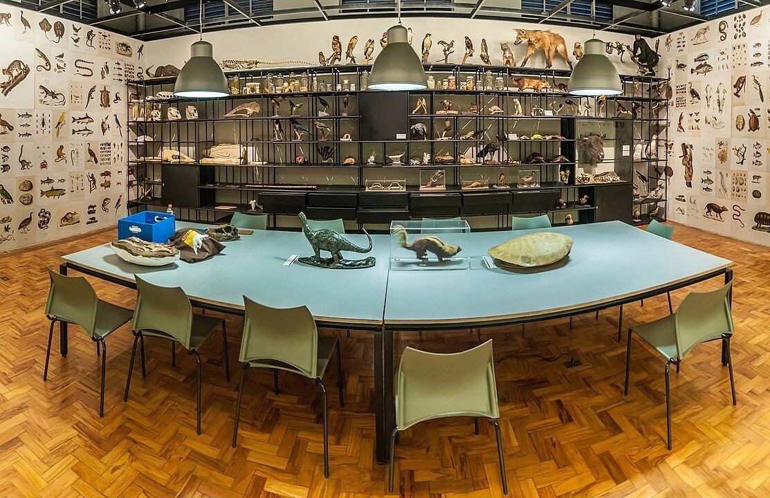 Tem mais de 10 milhões de exemplares, entre fósseis, animais empalhados e réplicas. E oferece uma biblioteca com mais de 10 mil volumes sobre geologia e zoologia.