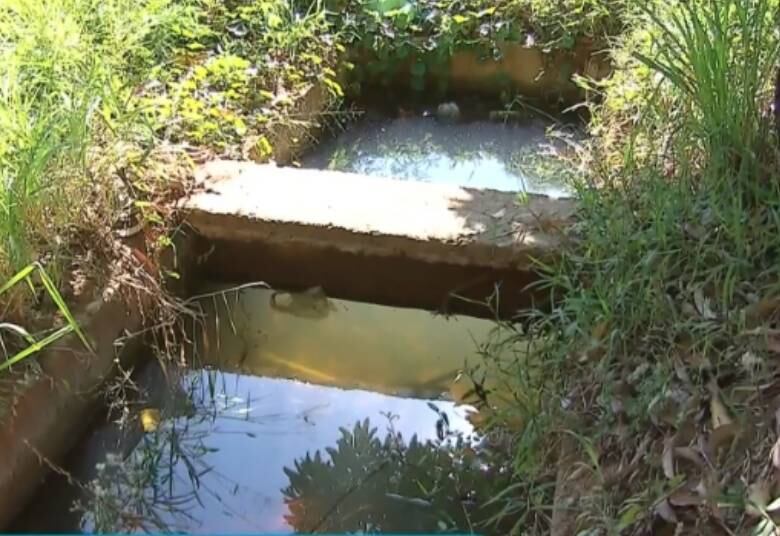 Após a denúncia, uma equipe é enviada ao local. Além disso, em São Fidélis toda quinta-feira é dia "D" contra o mosquito e agentes vão às ruas conscientizar os moradores e mostrar como funciona o aplicativo
Quer saber mais sobre os perigos do mosquito? Acesse Cuidado com o Mosquito e confira notícias e dicas!