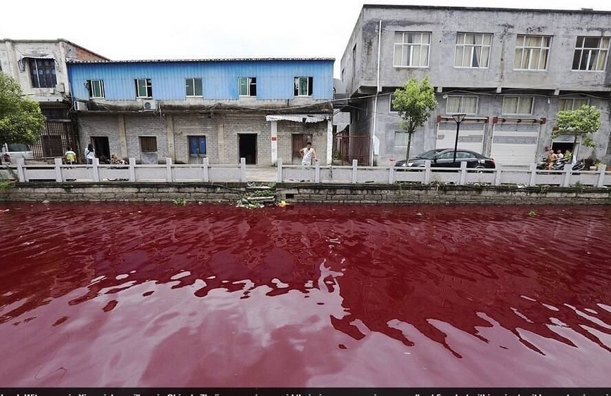 Moradores afirmam que nunca viram isso acontecer