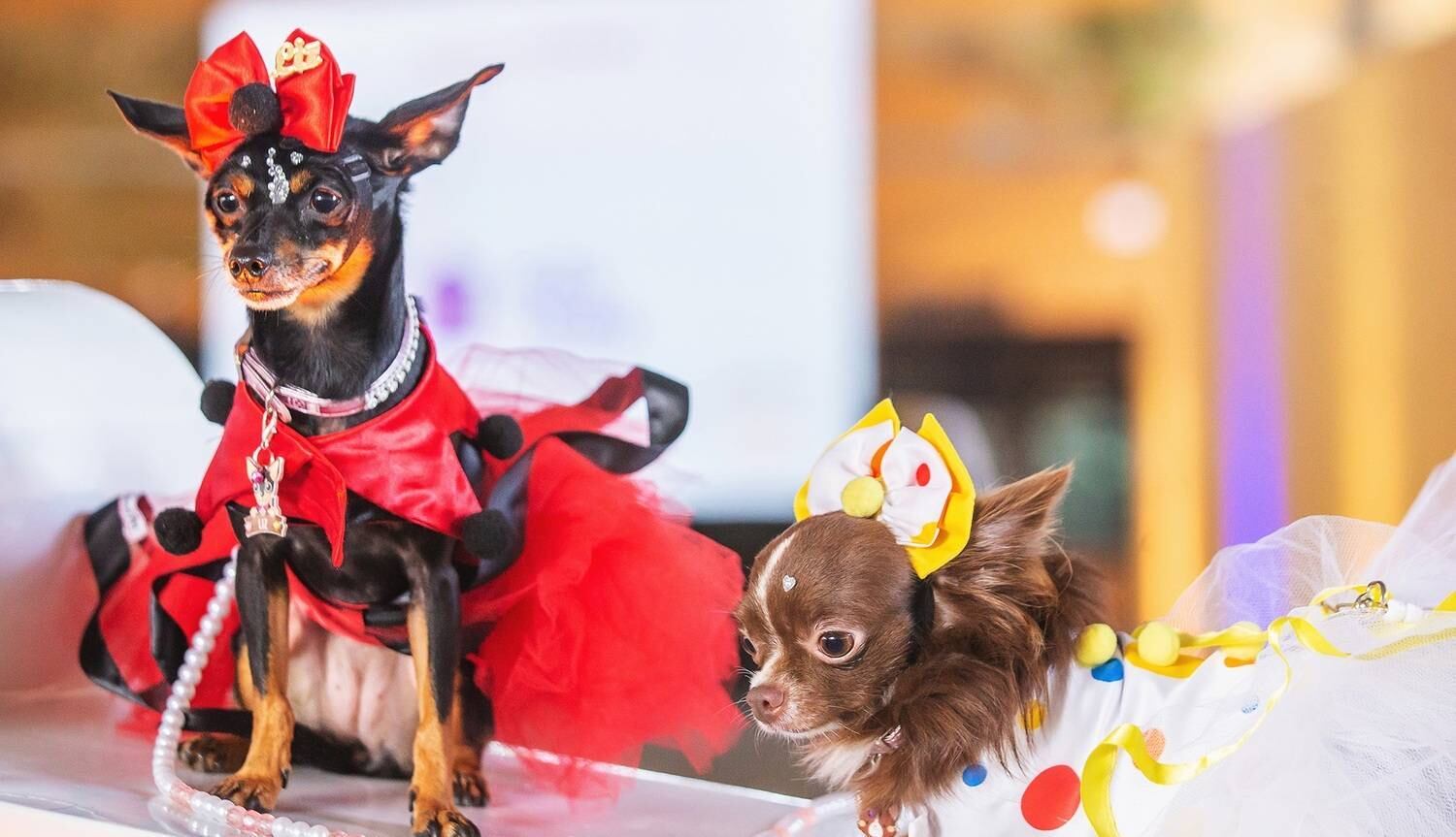 E que tal esta dupla charmosérrima desfilando no CarnavAU?