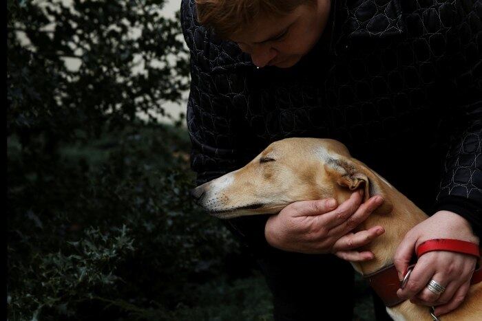 A unidade, localizada em uma cidade perto da fronteira com a França, usa cachorros para judar pacientes com dificuldades intelectuais e problemas de saúde mental consigam desenvolver habilidades de socialização e senso de autonomia