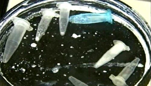 Pinos vazios de cocaína foram encontrados no local